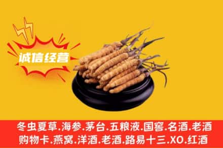 那曲回收冬虫夏草